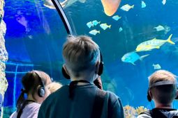 Обложка для тура