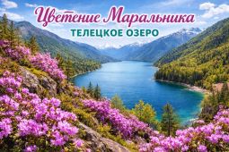 Обложка для тура
