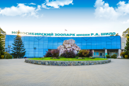 Обложка для тура